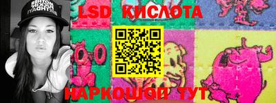 ECSTASY Гатчина